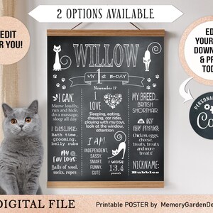 Póster de cumpleaños de gatito editable en pizarra. Cartel imprimible con motivo de un gato. Archivo digital personalizado (140)