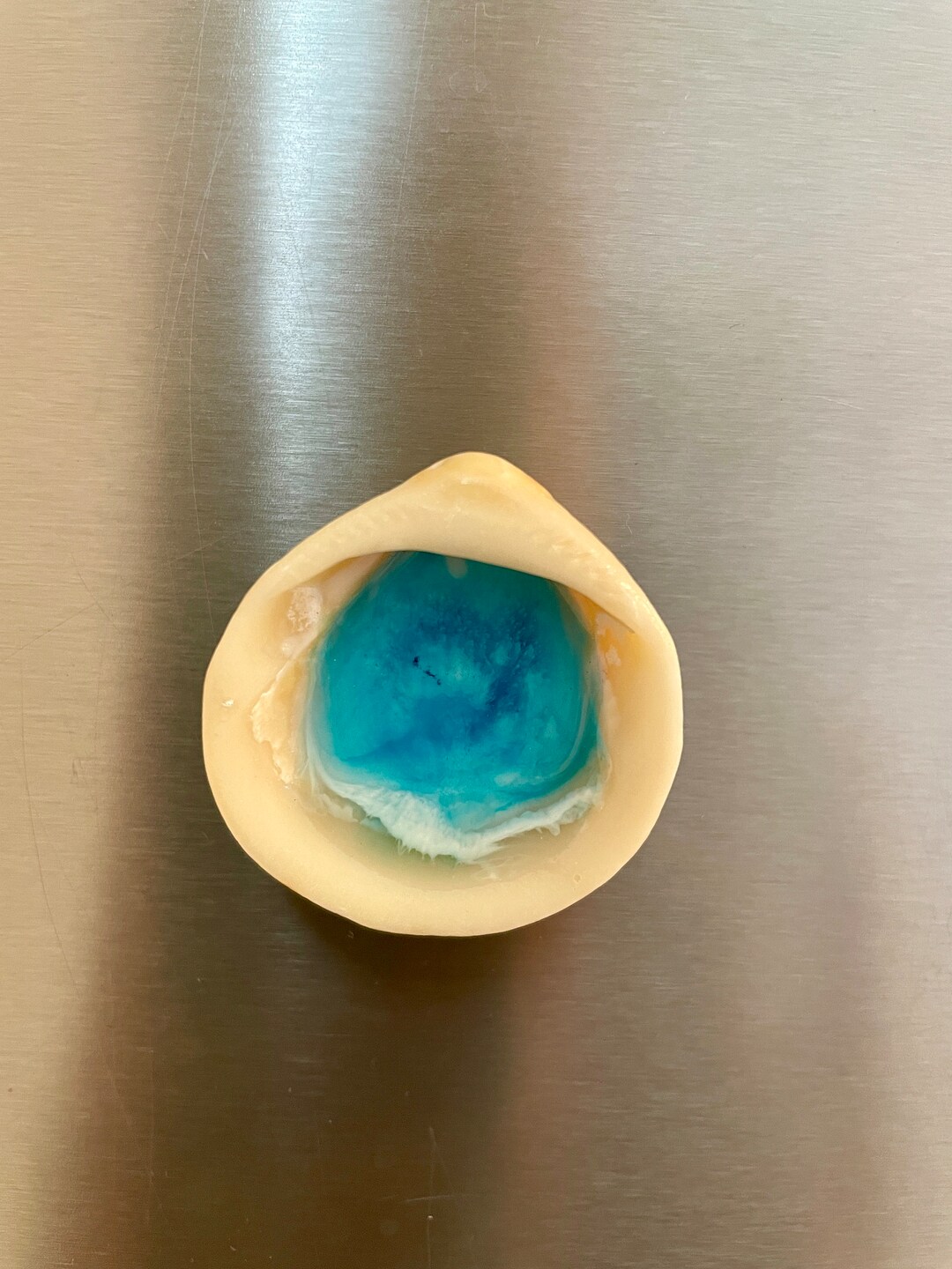 Original Magnet OCEAN SHELL Fridge Pin Sea Shell, Original Gift Idea ...