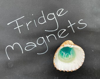 Magnet OCEAN SHELL cockle - fridge pin sea shell, original gift idea