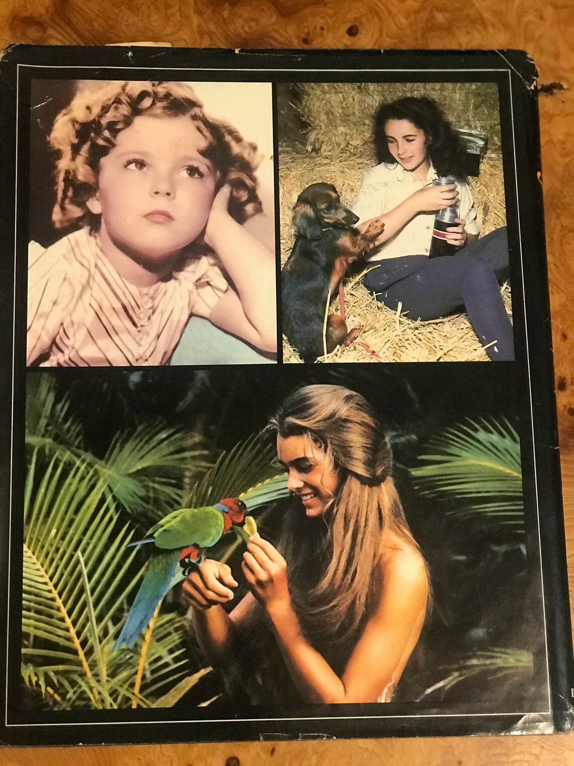Hollywood Kids Vintage Hollywood Reference Book - Etsy