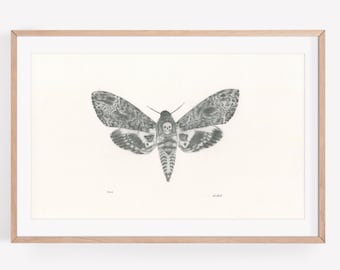 Art Print - Omen. Surreal moth illustration, wall art