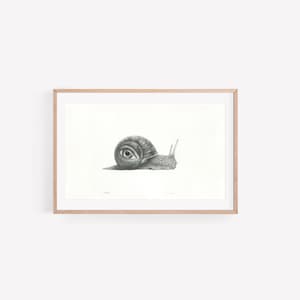 Whimsical Snail Art Print: Surreal Eyegene Giclée Wall Art
