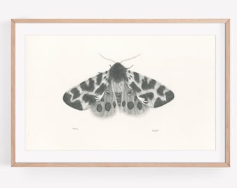 Art Print - Shroud. Surreal moth illustration, wall art