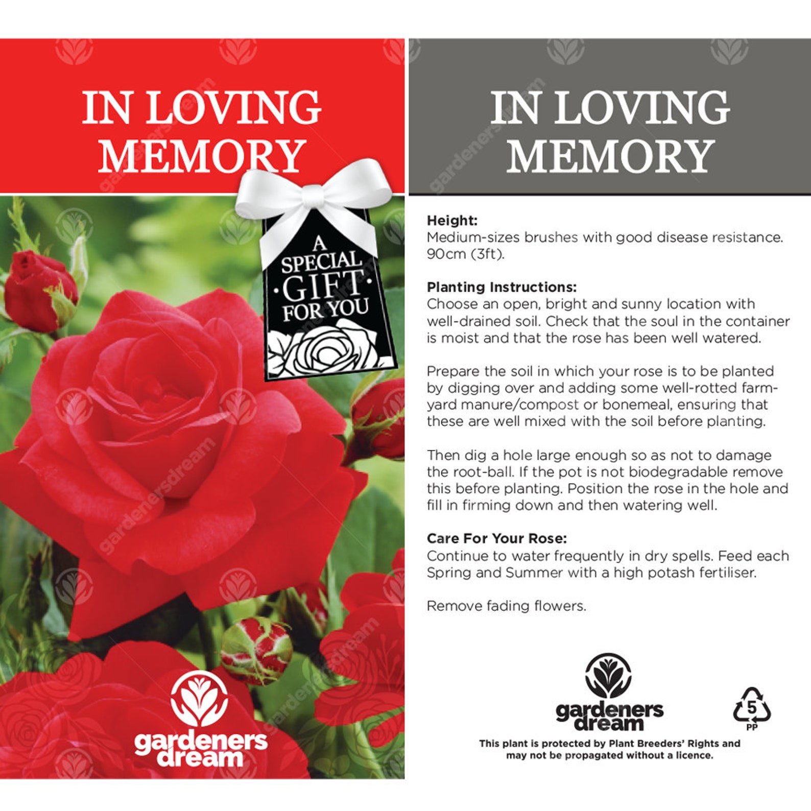 In Loving Memory Rose Say Goodbye to Someone Special With a Etsy