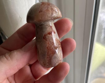 Flower Agate Mushroom