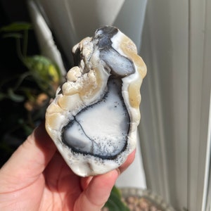 Dendritic Opal