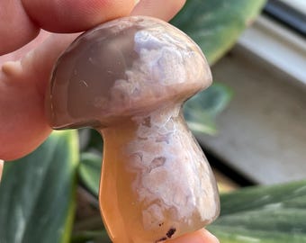 Flower Agate Mushroom