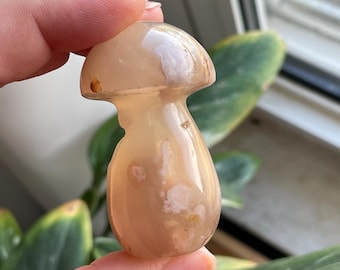 Flower Agate Mushroom