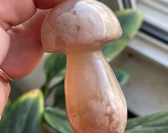 Flower Agate Mushroom