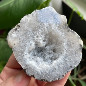 Trancas Geode Half