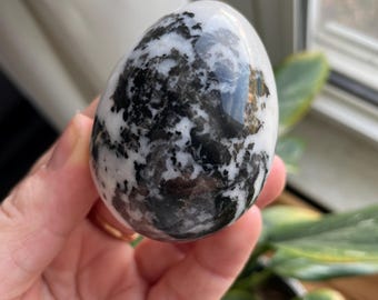 Zebra Jasper Egg