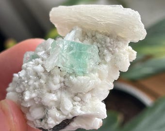 Green Apophyllite on Scolecite with Stilbite