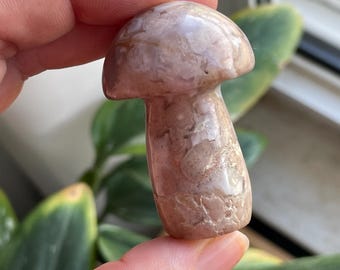 Flower Agate Mushroom