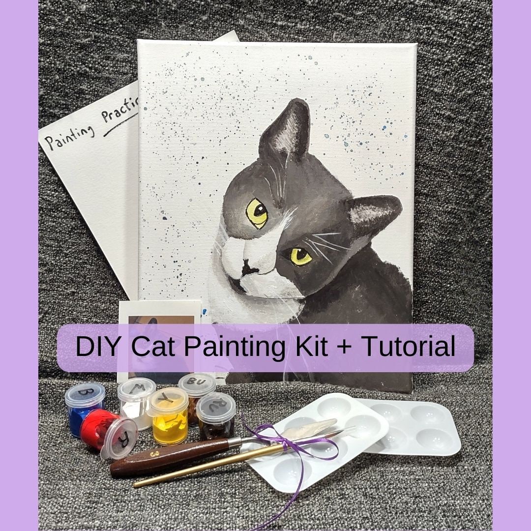 Learn to Paint Kit Painting Kit With Full Video Tutorial and Supplies
