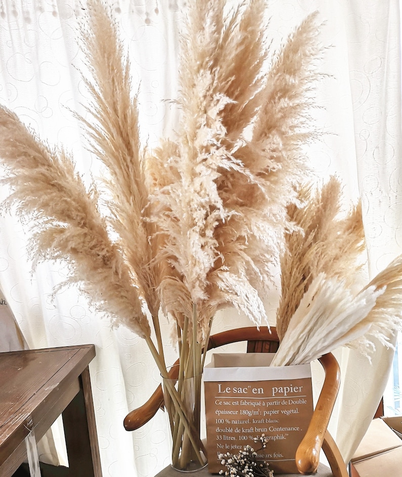 Large 40/'/'-55/'/' Length 3 Stems New September 2019 Pampas Grass