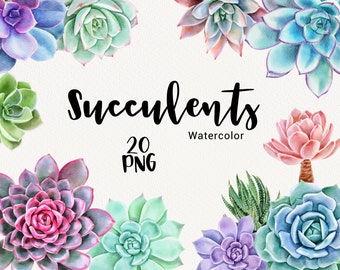 Download Succulent Clipart Etsy