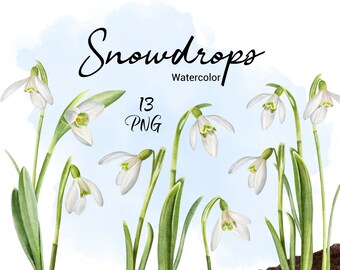 Easter flowers png Snowdrops and scilla botanical clip art Early spring flowers non-seamless border watercolor clipart