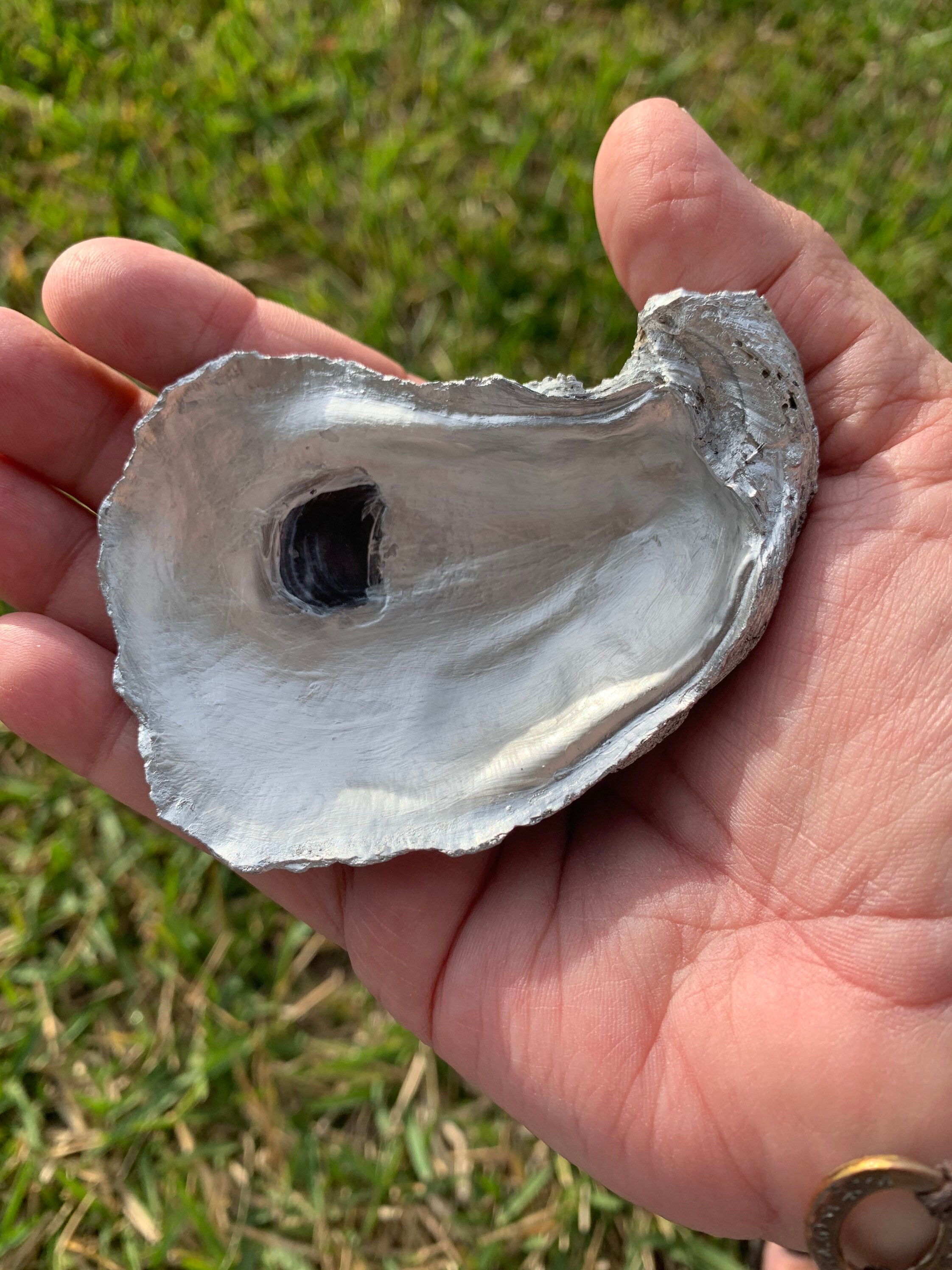 Customizable Oyster Shell Ring Holder | Etsy