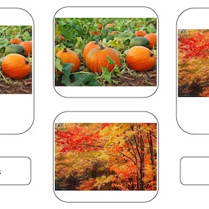 Autumn 3-part Montessori Language Cards PDF