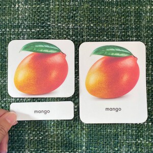 Frutta Schede linguistiche Montessori in 3 parti PDF