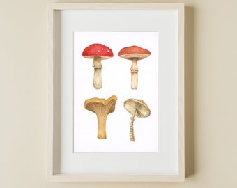 Museum Quality Mushroom Print, Mushroom Décor, mushroom poster for Mushroom Lover, Gift for bestfriend, Cottagecore Decor, Botanical Art