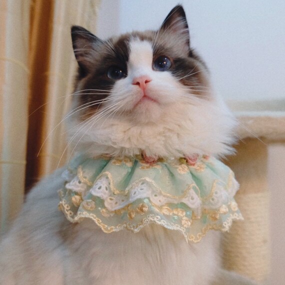 Cat lace collar Clearance
