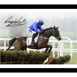 May include: A black and brown horse clears a hurdle with a jockey wearing a blue and white racing suit. The jockey is wearing a blue helmet with a white stripe. The horse is wearing a white saddle and a white bridle. The background is a blurry green field.