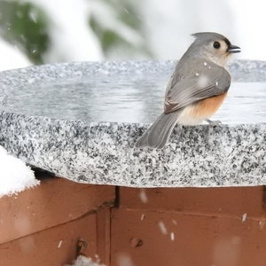 Handmade Granite Bird Bath for Balcony, Patio, Garden or Yard