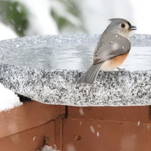 Handmade Granite Bird Bath for Balcony, Patio, Garden or Yard image 1