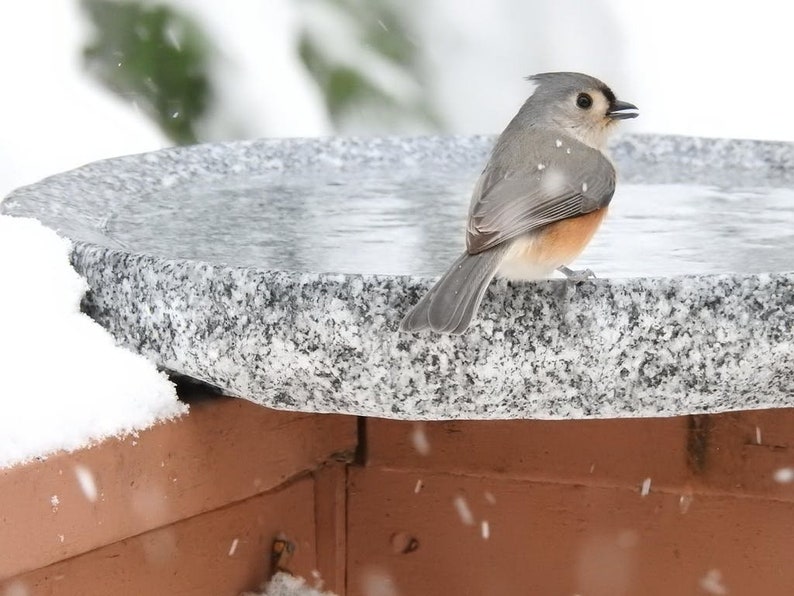 Handmade Granite Bird Bath for Balcony, Patio, Garden or Yard image 1