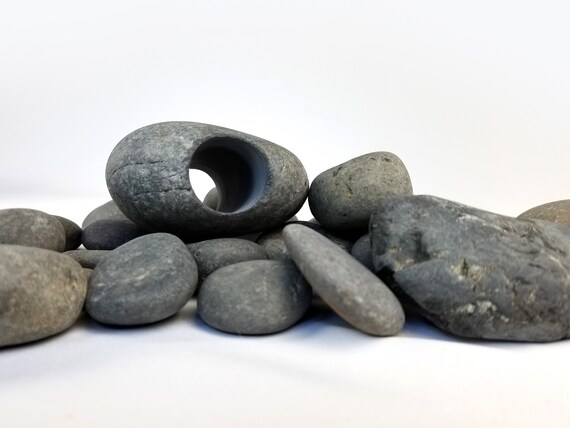 hill's science diet healthy mobility large breed