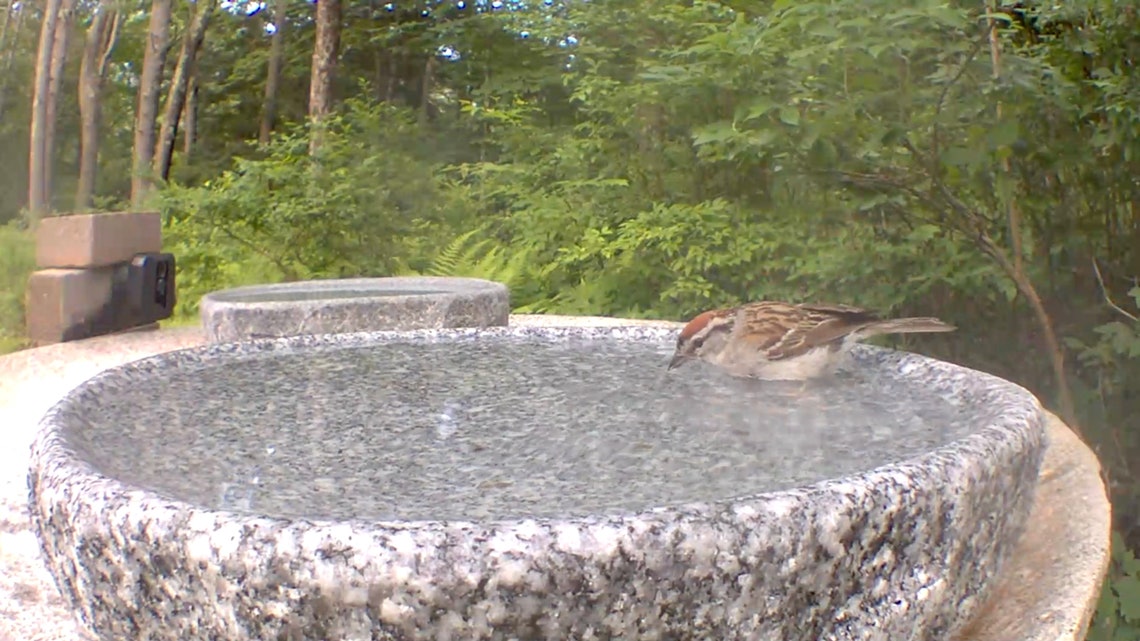 Handmade Natural Quarried Granite Bird Bath for Balcony Etsy