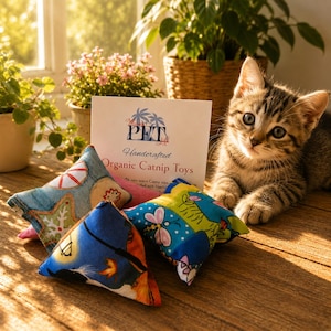 Catnip Cat Toy 4 Pack: Organic Catnip & Silvervine, Toys for Cats and kittens