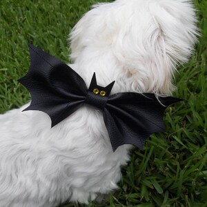 May include: A white dog wearing a black bat-shaped bow tie with gold-colored accents. The bow tie is made of a leather-like material and is positioned around the dog's neck. The background is green grass.
