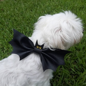 May include: A black leather bat-shaped bow tie with yellow gem eyes is worn by a small white dog. The bow tie is a Halloween-themed accessory, perfect for pet costumes. The dog is on green grass.