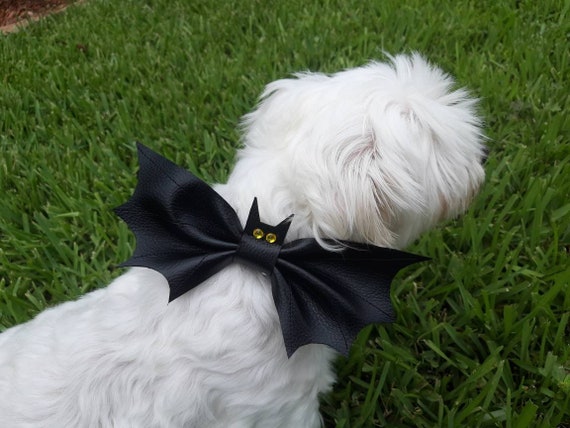 Bat Dog Collar on Bowtie, Halloween custom for Dog, Dog Collar Bow, Dog Accessories, Dog Fashion,  Bat Cat Bow Ties,  Bat Shape Dog Bow Tie