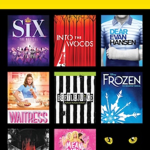 Póster personalizado de Broadway / Regalo de teatro musical, Regalo para amantes del teatro (20x30)