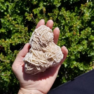 Desert Rose * Gypsum Rose * Selenite * Mexico Minerals * Crystallized Minerals * Home Decor * House Warming Gift *