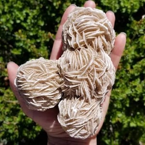 Desert Rose * Gypsum Rose * Selenite * Mexico Minerals * Crystallized Minerals * Home Decor * House Warming Gift *
