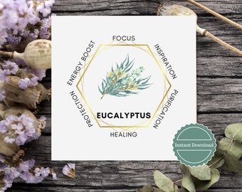Graphique de carte de signification imprimable de plante d'eucalyptus. Autocollant en cristal de téléchargement numérique. Étiquettes de produit étiquettes imprimables autocollants cartes d'affichage