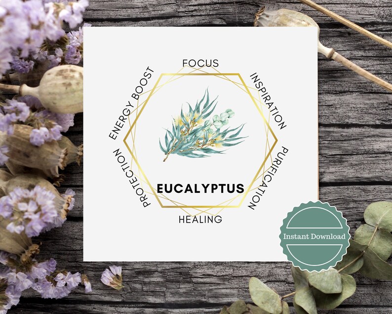 Eucalyptus Plant Printable Meaning Card Graphic. Digital Download