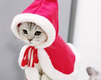 cat xmas outfit