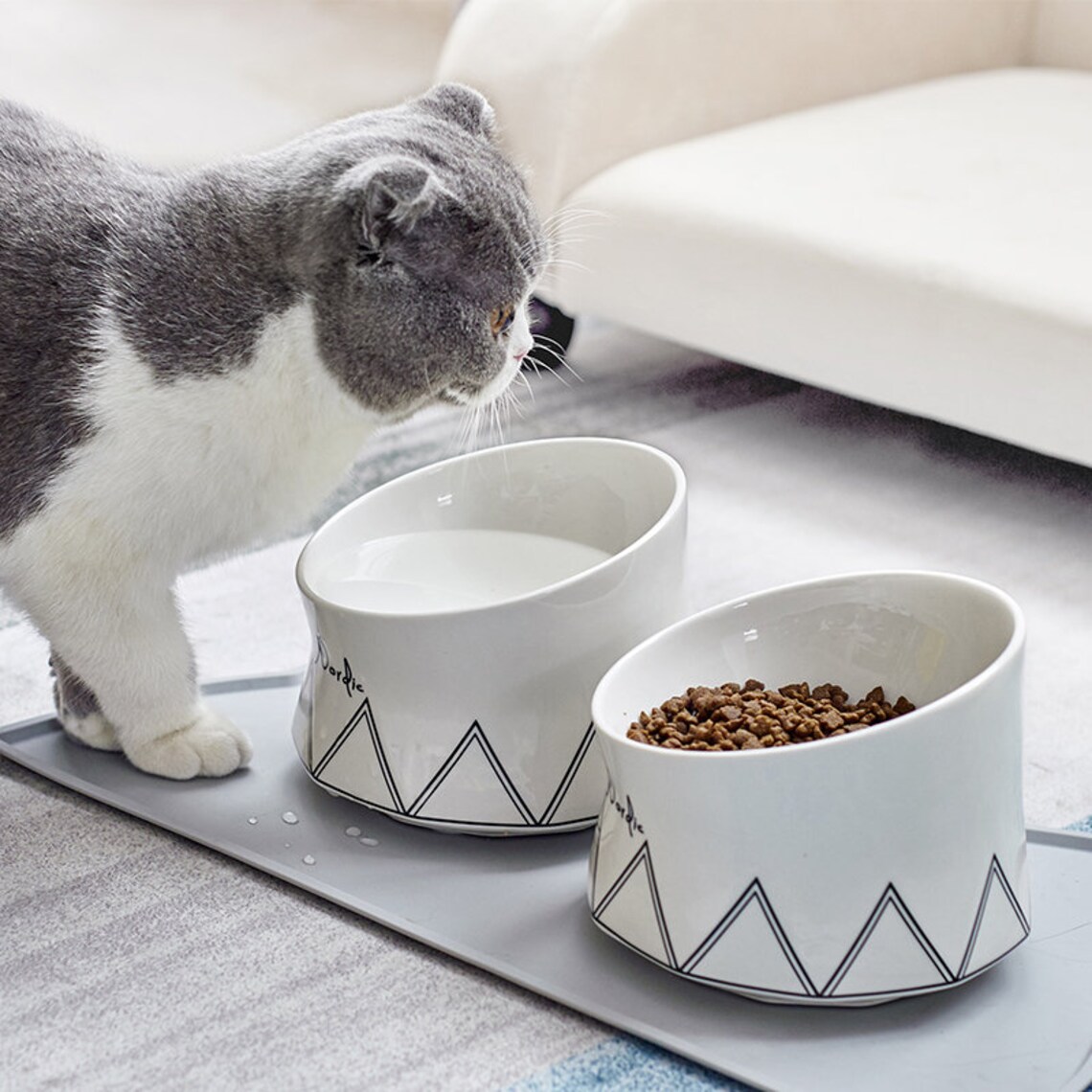 AntiVomiting Elevated Tilted Ceramic Cat Bowl Glass Gaze Etsy