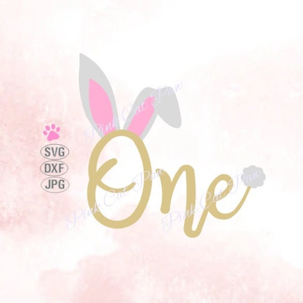 One Svg, Some Bunny Is One Svg, First Birthday Svg, I'm One Svg, 1st Birthday Svg, 1st Easter Svg, Bunny Svg, Baby T Shirt Design