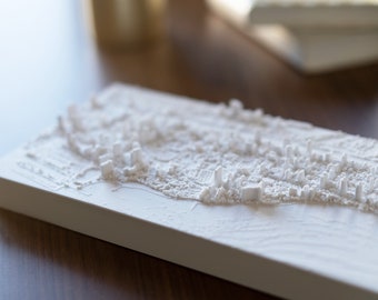 Waikiki | 3D Printed City, 6"x12"