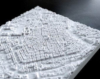 Vienna | 3D Printed City, 8"/20cm