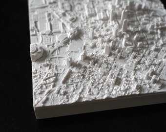Atlanta | 3D Printed City, 8&quot;/20cm