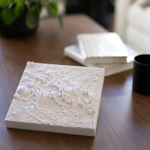 New Orleans | 3D-geprinte stad, 8"/20 cm