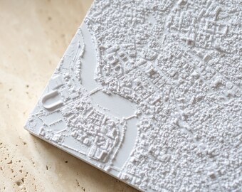 Cambridge MA | 3D Printed City, 8"/20cm