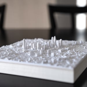 Charlotte | 3D Printed City, 8&quot;/20cm